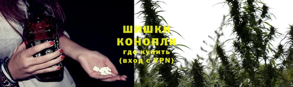 мескалин Бородино