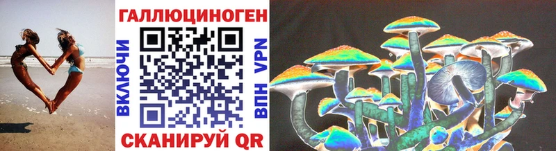 хочу   Сретенск  Псилоцибиновые грибы мухоморы 